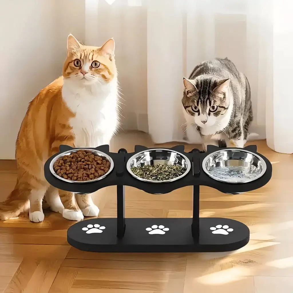 Elevated Pet Feeder for Cats Dogs 15 Degree Tilted Bowls Adjustable Height for Comfortable Feeding Feeder