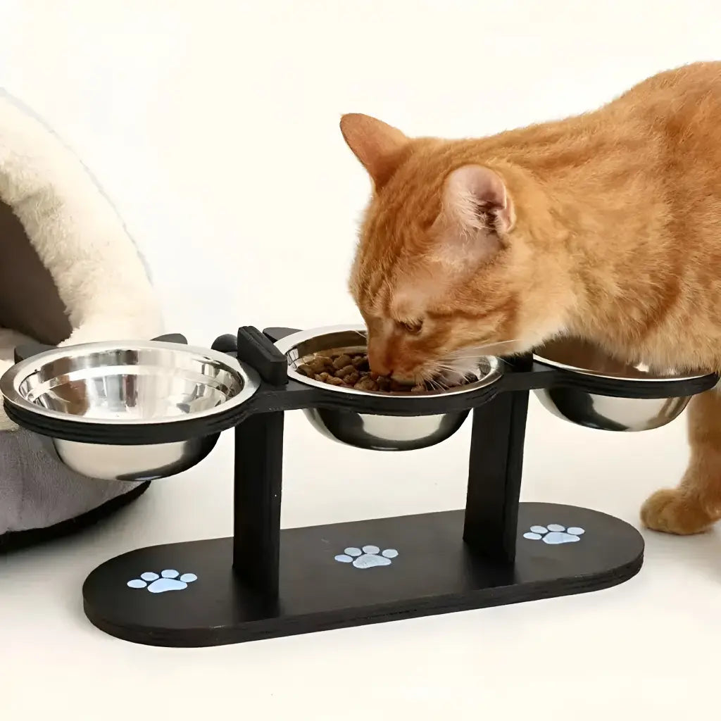 Elevated Pet Feeder for Cats Dogs 15 Degree Tilted Bowls Adjustable Height for Comfortable Feeding Feeder
