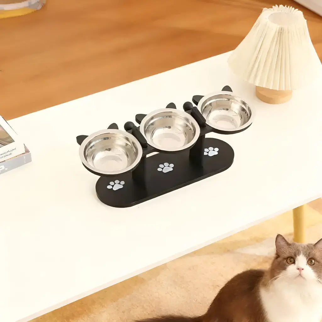 Elevated Pet Feeder for Cats Dogs 15 Degree Tilted Bowls Adjustable Height for Comfortable Feeding Feeder